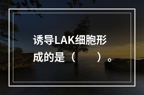 诱导LAK细胞形成的是（　　）。