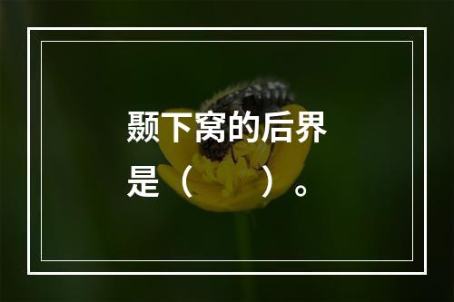 颞下窝的后界是（　　）。