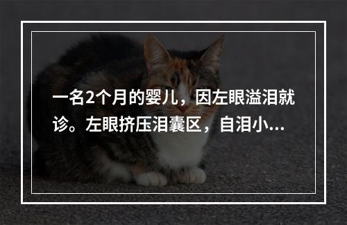 一名2个月的婴儿，因左眼溢泪就诊。左眼挤压泪囊区，自泪小点有