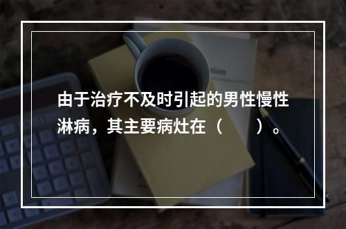 由于治疗不及时引起的男性慢性淋病，其主要病灶在（　　）。