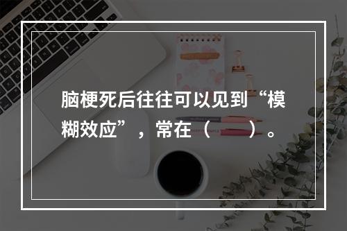 脑梗死后往往可以见到“模糊效应”，常在（　　）。