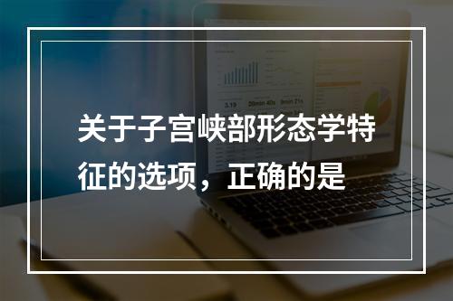 关于子宫峡部形态学特征的选项，正确的是