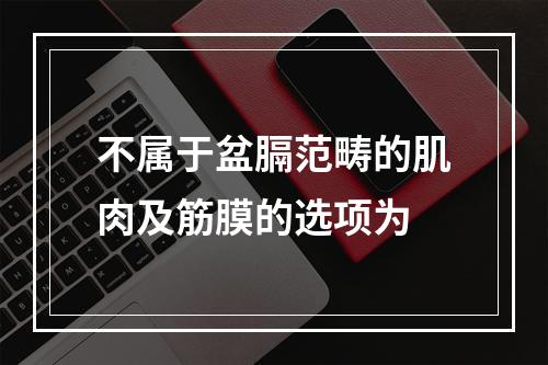 不属于盆膈范畴的肌肉及筋膜的选项为