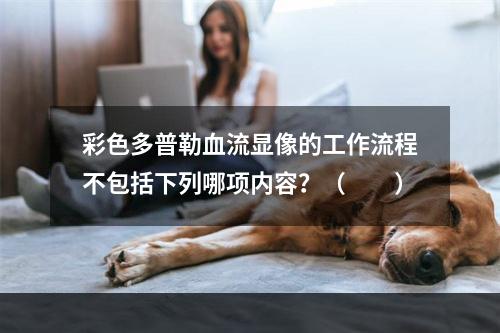 彩色多普勒血流显像的工作流程不包括下列哪项内容？（　　）