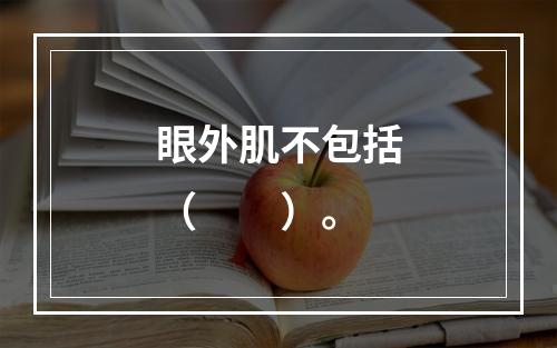 眼外肌不包括（　　）。