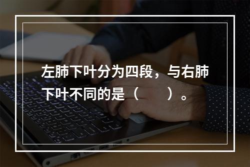 左肺下叶分为四段，与右肺下叶不同的是（　　）。