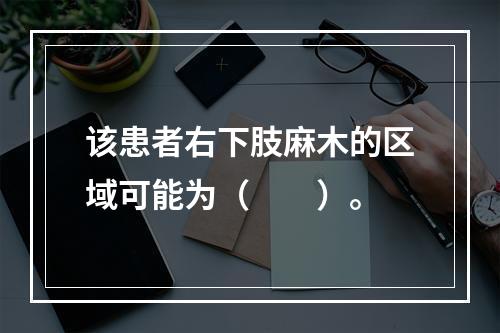 该患者右下肢麻木的区域可能为（　　）。