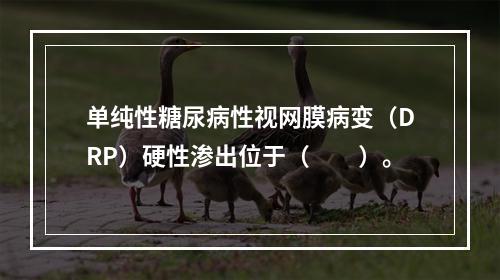 单纯性糖尿病性视网膜病变（DRP）硬性渗出位于（　　）。