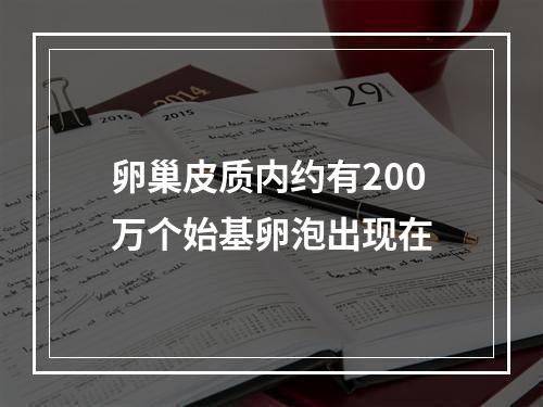 卵巢皮质内约有200万个始基卵泡出现在