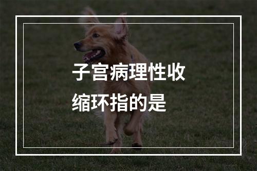 子宫病理性收缩环指的是