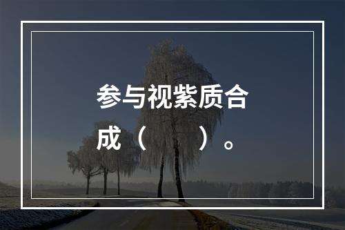 参与视紫质合成（　　）。