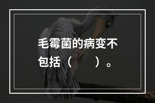 毛霉菌的病变不包括（　　）。