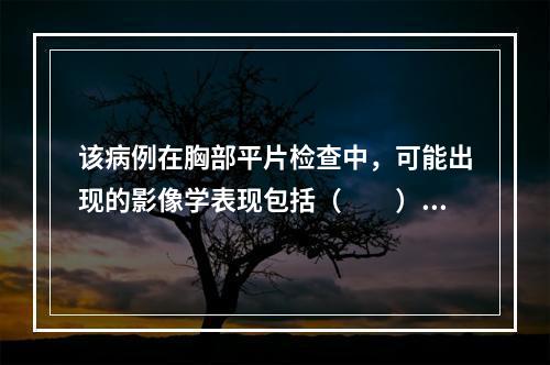 该病例在胸部平片检查中，可能出现的影像学表现包括（　　）。