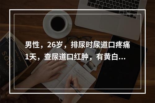 男性，26岁，排尿时尿道口疼痛1天，查尿道口红肿，有黄白色