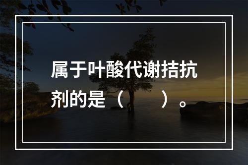 属于叶酸代谢拮抗剂的是（　　）。