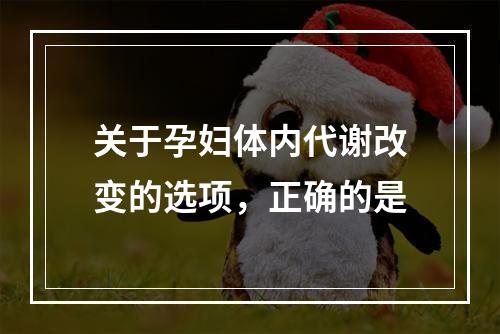 关于孕妇体内代谢改变的选项，正确的是