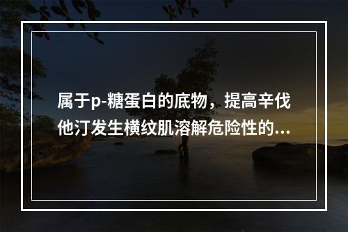 属于p-糖蛋白的底物，提高辛伐他汀发生横纹肌溶解危险性的是