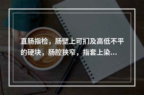 直肠指检，肠壁上可扪及高低不平的硬块，肠腔狭窄，指套上染有脓