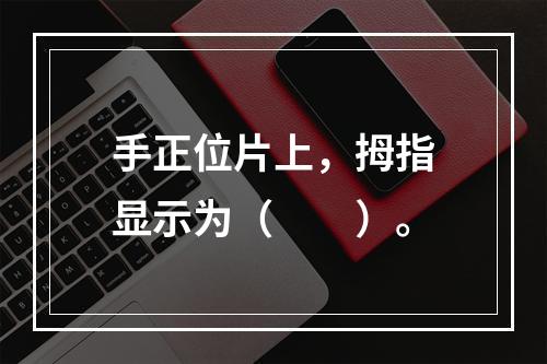 手正位片上，拇指显示为（　　）。