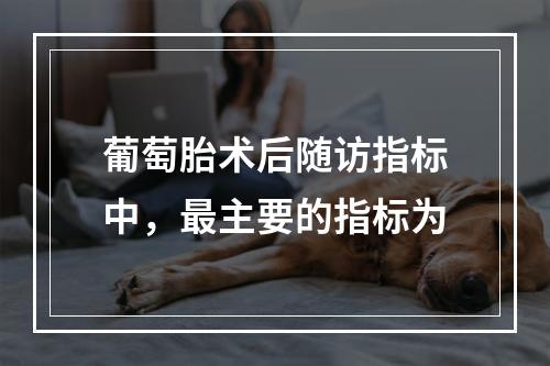 葡萄胎术后随访指标中，最主要的指标为