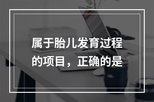 属于胎儿发育过程的项目，正确的是