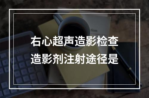 右心超声造影检查造影剂注射途径是