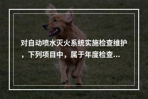 对自动喷水灭火系统实施检查维护，下列项目中，属于年度检查内容