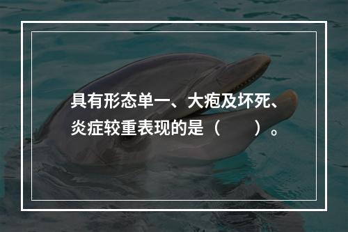 具有形态单一、大疱及坏死、炎症较重表现的是（　　）。