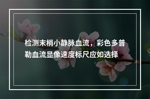 检测末梢小静脉血流，彩色多普勒血流显像速度标尺应如选择