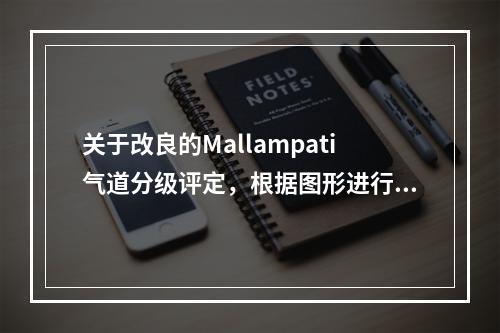 关于改良的Mallampati气道分级评定，根据图形进行判