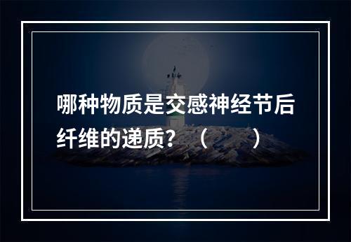 哪种物质是交感神经节后纤维的递质？（　　）