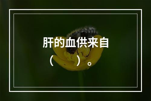 肝的血供来自（　　）。