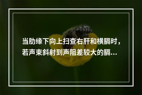 当肋缘下向上扫查右肝和横膈时，若声束斜射到声阻差较大的膈肺