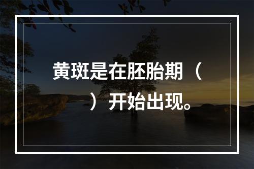 黄斑是在胚胎期（　　）开始出现。