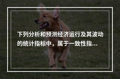 下列分析和预测经济运行及其波动的统计指标中，属于一致性指标的