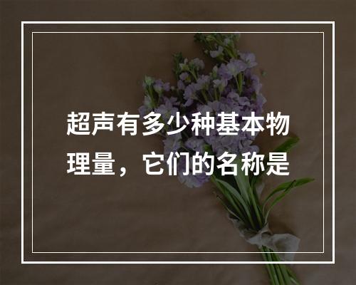 超声有多少种基本物理量，它们的名称是