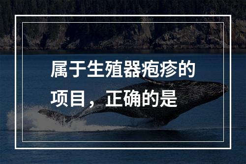 属于生殖器疱疹的项目，正确的是