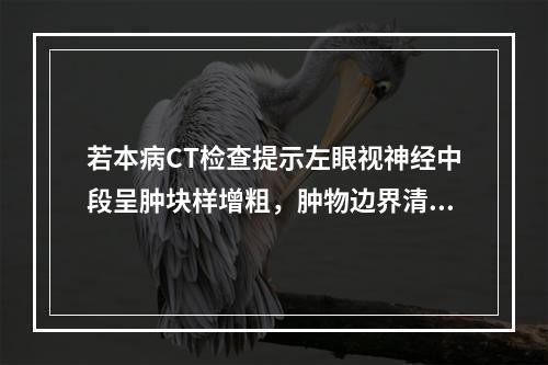 若本病CT检查提示左眼视神经中段呈肿块样增粗，肿物边界清楚，