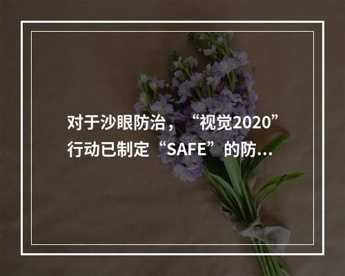 对于沙眼防治，“视觉2020”行动已制定“SAFE”的防治策