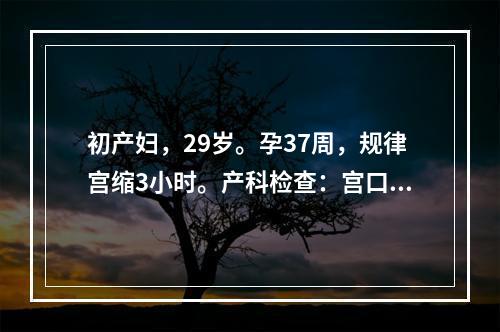 初产妇，29岁。孕37周，规律宫缩3小时。产科检查：宫口开大