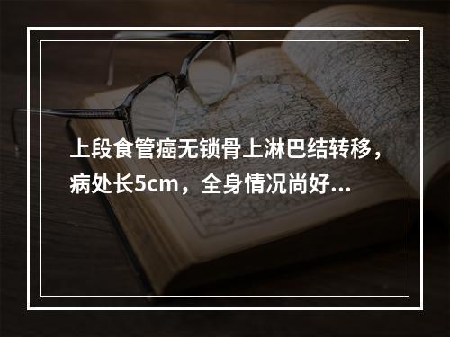 上段食管癌无锁骨上淋巴结转移，病处长5cm，全身情况尚好，首