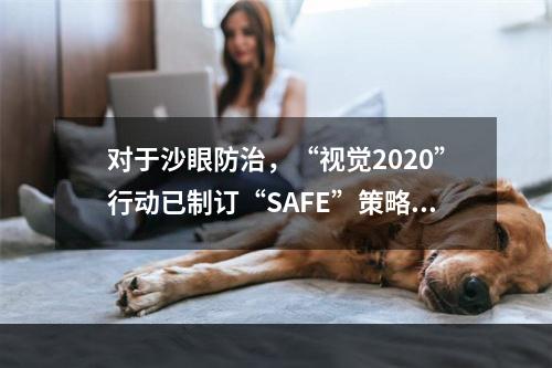 对于沙眼防治，“视觉2020”行动已制订“SAFE”策略，其