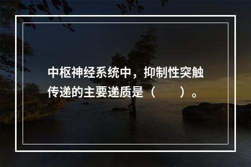 中枢神经系统中，抑制性突触传递的主要递质是（　　）。