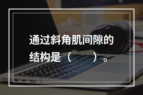 通过斜角肌间隙的结构是（　　）。