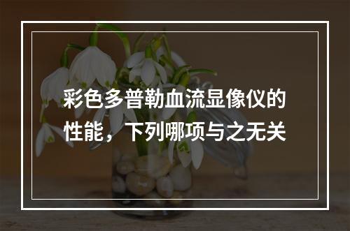 彩色多普勒血流显像仪的性能，下列哪项与之无关