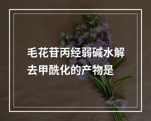 毛花苷丙经弱碱水解去甲酰化的产物是