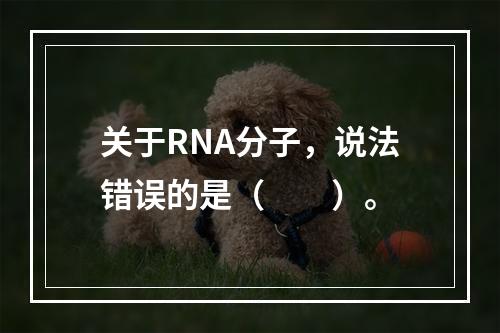 关于RNA分子，说法错误的是（　　）。