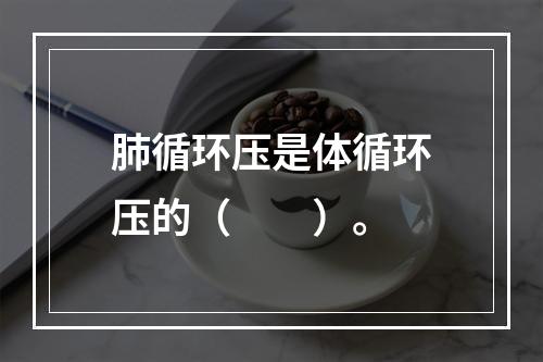 肺循环压是体循环压的（　　）。