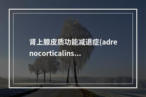 肾上腺皮质功能减退症(adrenocorticalinsuf