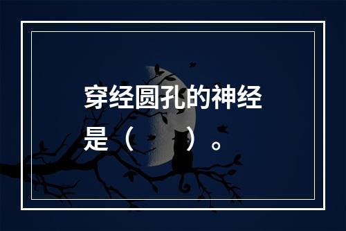 穿经圆孔的神经是（　　）。